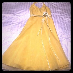 Size 4 David’s Bridal Homecoming/Prom/Event Dress